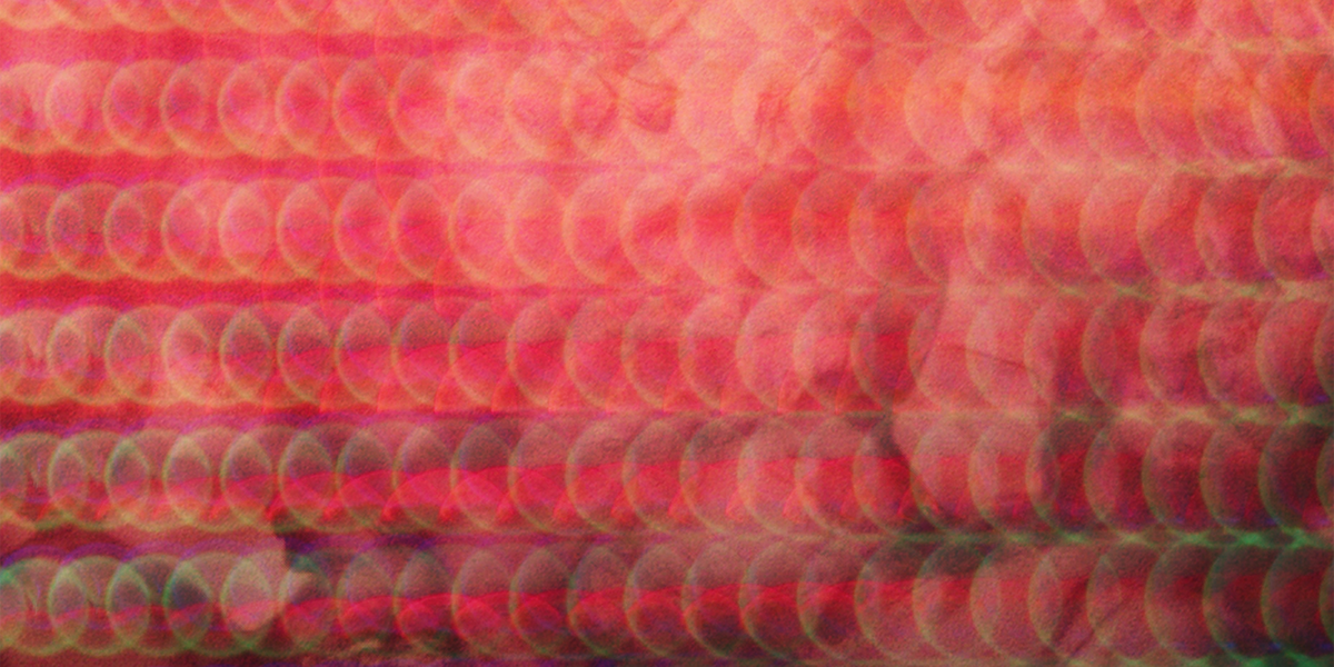 The Punica Granatum print on silk