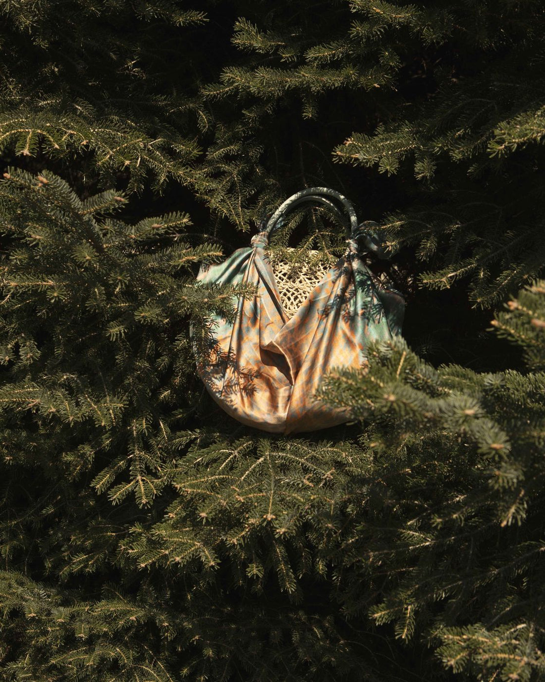 Leather bag hanging in a pine tree at dusk